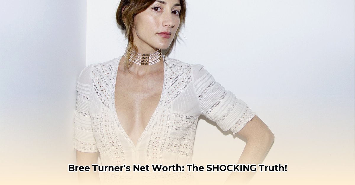 bree-turner-net-worth